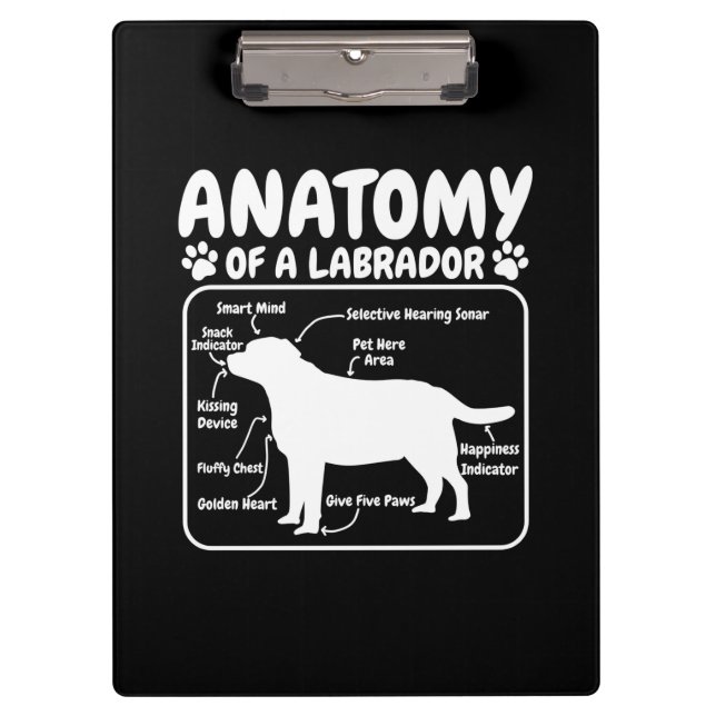 Labrador Hundanatomie Klemmbrett (Vorderseite)