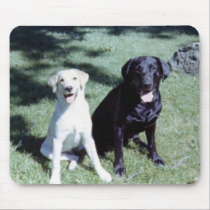 Labrador-Hunde Mousepad