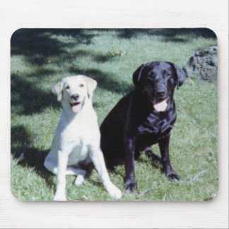 Labrador-Hunde Mousepad