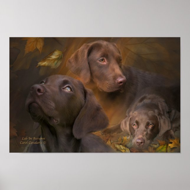 Labrador im Herbst Kunst Poster/Print Poster (Vorne)
