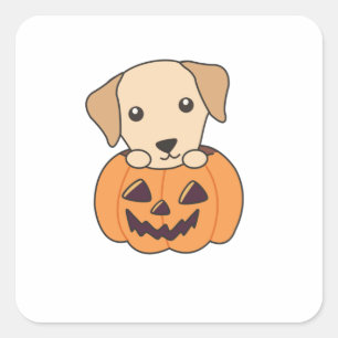 Labrador in Pumpkin Niedliche Hunde glückliche Hal Quadratischer Aufkleber