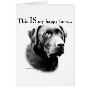 Labrador Joyeux visage