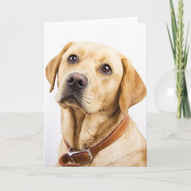 Labrador Karte (Vorderseite)