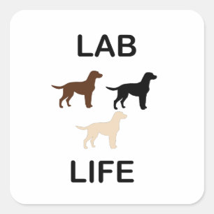 Labrador Leben alle Farben Silhouette Quadratischer Aufkleber