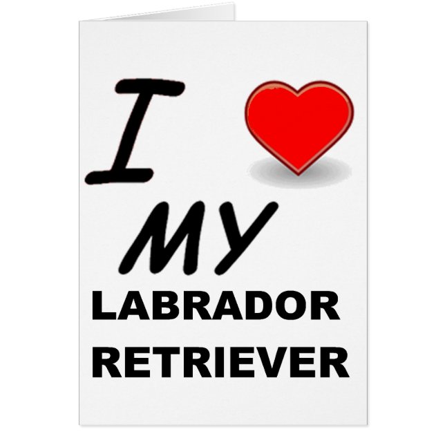 Labrador Liebe (Vorne)