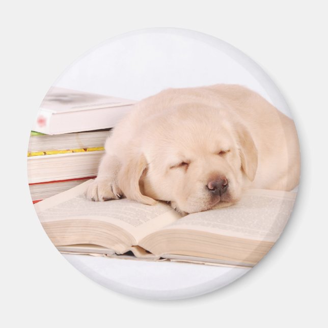 Labrador Magnet (Vorne)