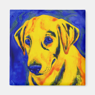 Labrador-Magnet - "archie " Magnet