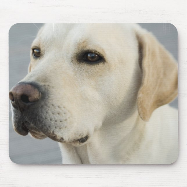 Labrador-Mausunterlage Mousepad (Vorne)