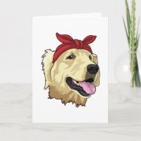 Labrador mit Bandana