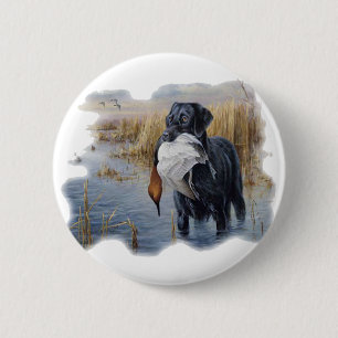 Labrador mit der Enten-Enten-Jagd Button