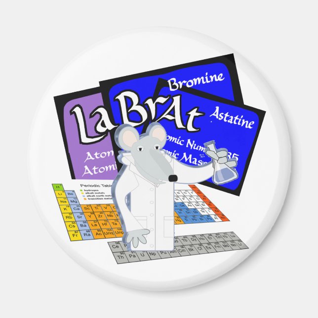 Labrador mit Elementen aus der Periodischen Tabell Magnet (Vorne)