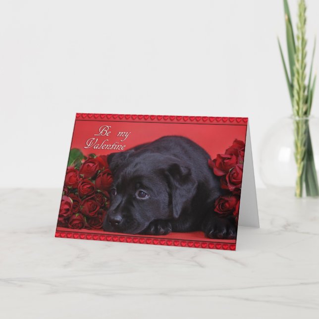Labrador mit Rose Karte (Vorderseite)