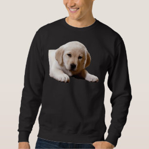 Labrador Nickerchen Time Sweatshirt