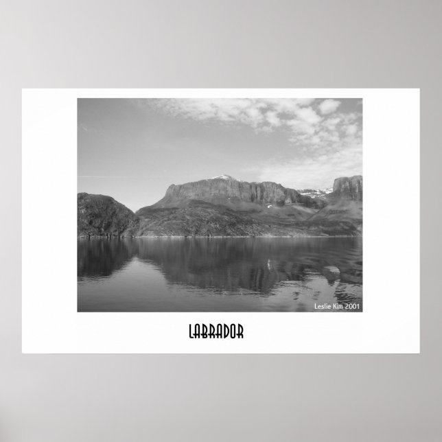 Labrador Poster (Vorne)