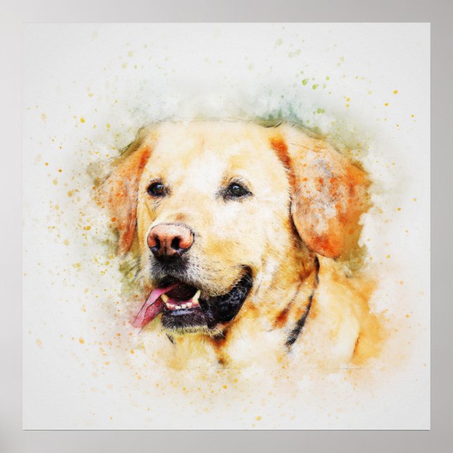 Labrador Poster (Vorne)