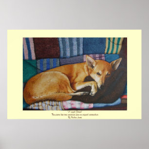 Labrador Poster