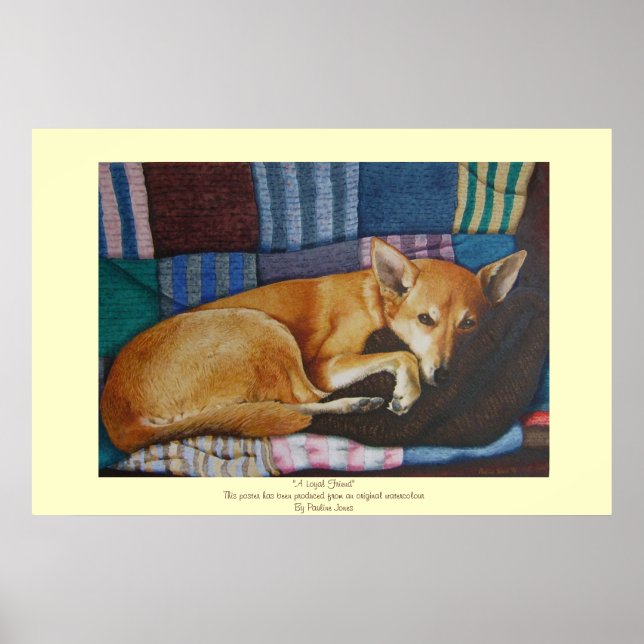 Labrador Poster (Vorne)