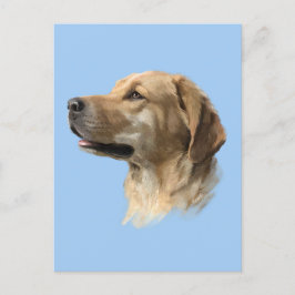 Labrador Postkarte
