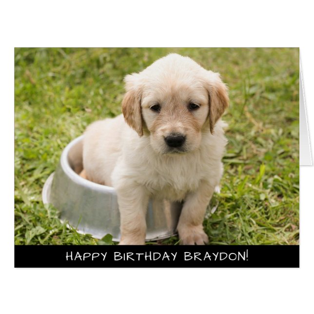 Labrador Puppy Dog Extra Large Birthday Card (Vorderseite (Horizontal))