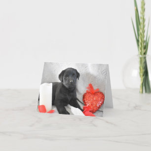 Labrador Puppy Valentinstag Card Dankeskarte