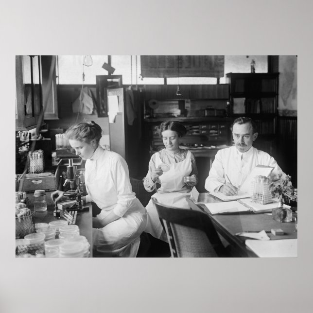 Labrador Rats, 1912 Poster (Vorne)