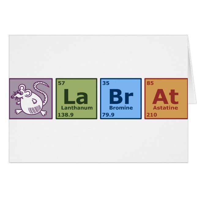 Labrador-Ratte (Vorderseite (Horizontal))