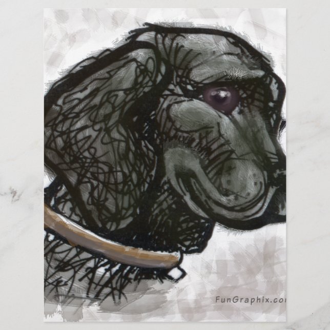 Labrador Retriever (Vorderseite)