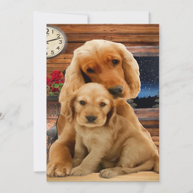 Labrador Retriever (Vorderseite)