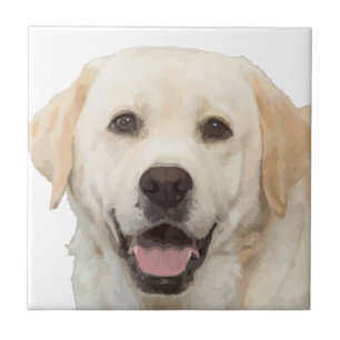 Labrador retriever 1 fliese