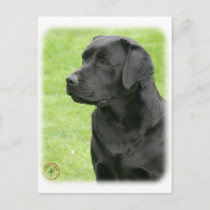 Labrador Retriever 9Y053D-144 Postkarte