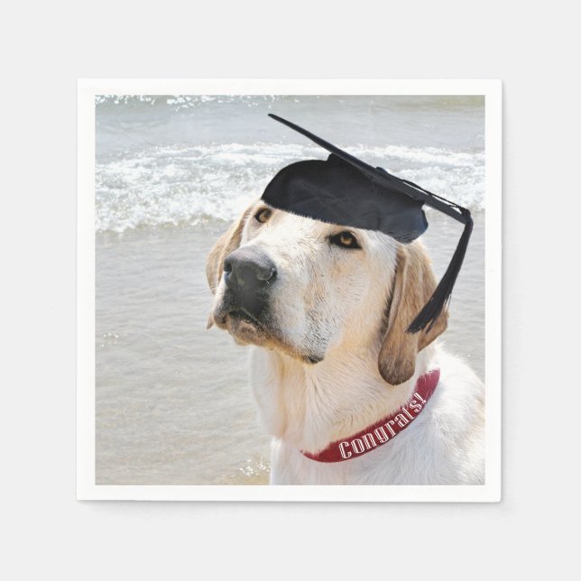 Labrador Retriever Absolvent Mit Hut Serviette (Vorderseite)