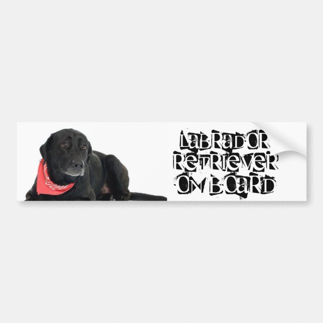 Labrador retriever an Bord Autoaufkleber (Vorne)