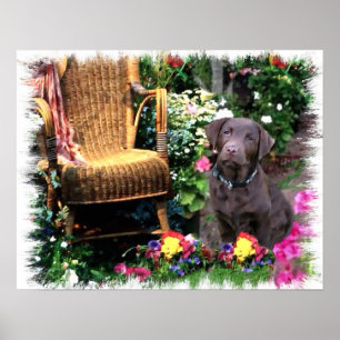 Labrador Retriever Art Print Poster