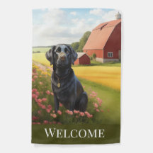 Labrador Retriever auf dem Bauernhof