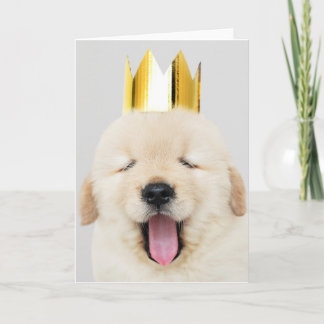 Labrador retriever AVEC la carte de voeux pliée