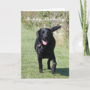Labrador Retriever Black Hund Custom Geburtstagska Karte