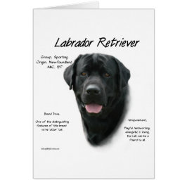 Labrador Retriever (blk) History Design