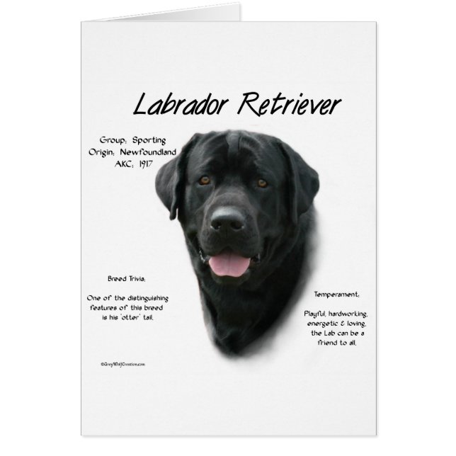 Labrador Retriever (blk) History Design (Vorne)
