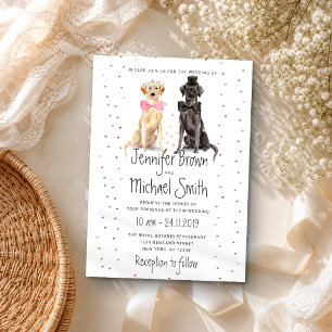 Labrador Retriever Bräutigam Valentinstag Hochzeit Einladung