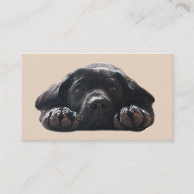 Labrador retriever-Brüter-Visitenkarte Visitenkarte (Vorderseite)