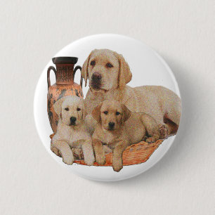 Labrador Retriever Button