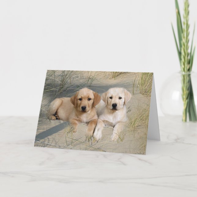 Labrador Retriever Card Pies On Beach Karte (Vorderseite)