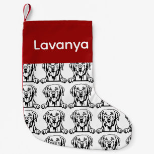 Labrador Retriever chien chaussettes chien Customi