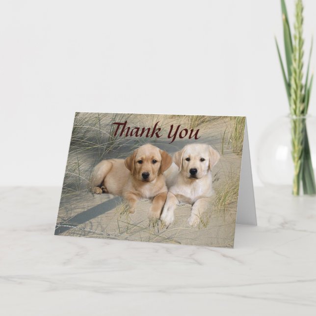 Labrador retriever danken Ihnen, Welpen auf Strand Dankeskarte (Vorderseite)