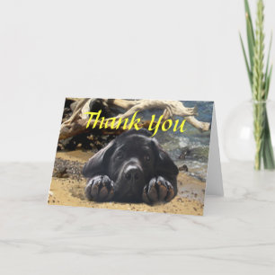 Labrador retriever danken Ihnen zu kardieren Dankeskarte