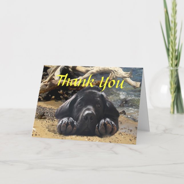 Labrador retriever danken Ihnen zu kardieren Dankeskarte (Vorderseite)