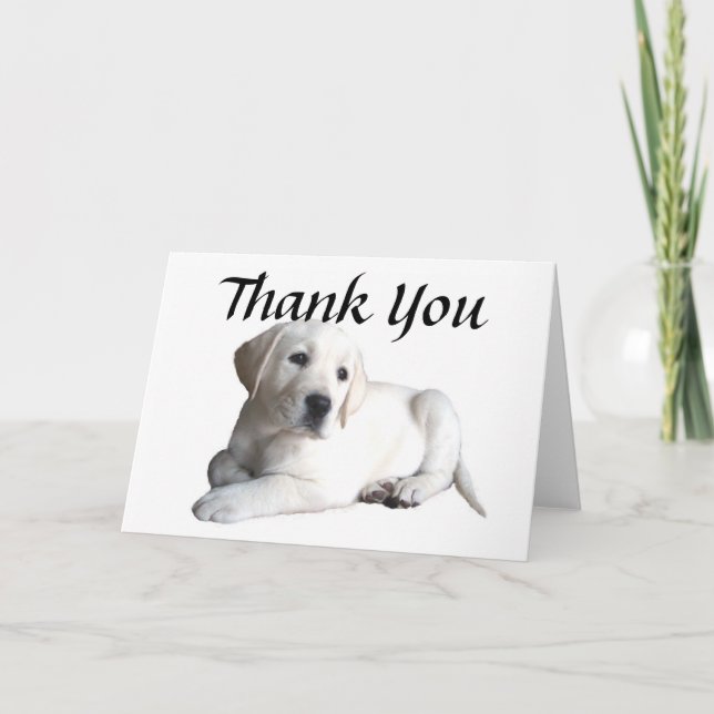 Labrador retriever danken Ihnen zu kardieren Dankeskarte (Vorderseite)