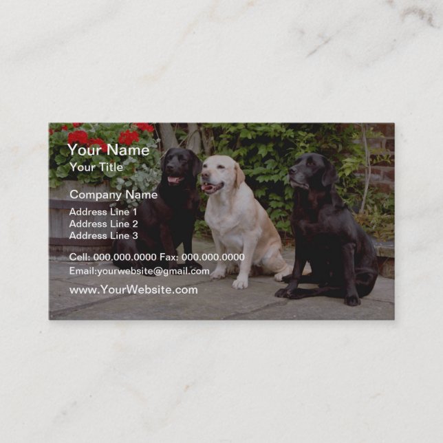 Labrador-Retriever des Weiß-drei, die Blumen Visitenkarte (Vorderseite)
