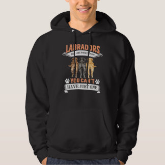 Labrador Retriever Dog Funny Hoodie