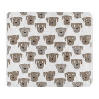 Labrador Retriever Dog